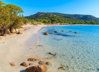 Corse