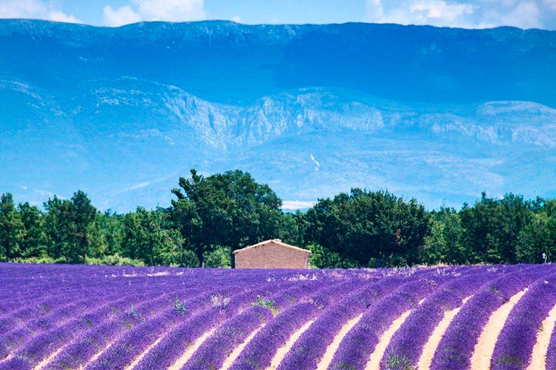 Provence 