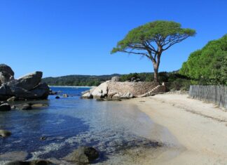 Corse