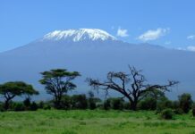 Kenya