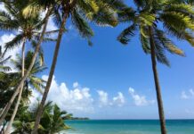 Activités en Martinique