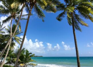 Activités en Martinique