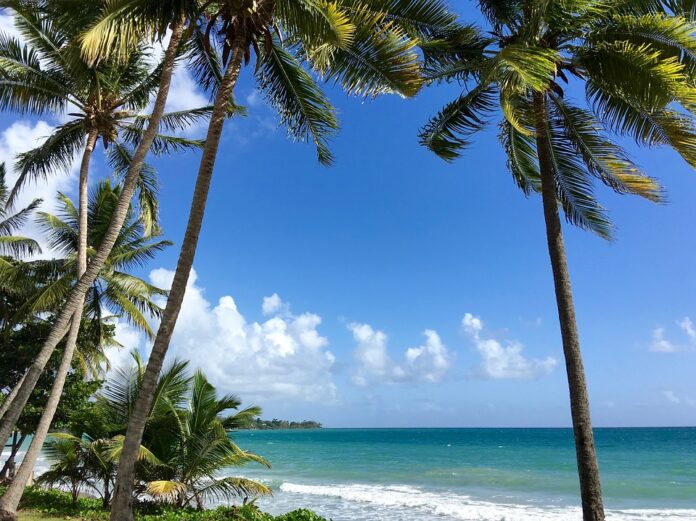 Activités en Martinique