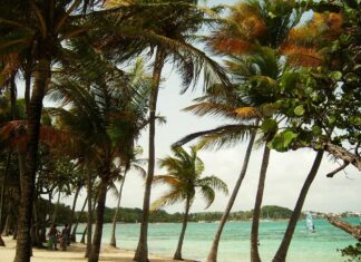 vacances en Guadeloupe