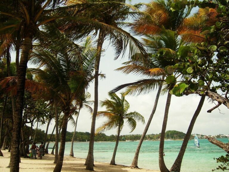 Comment bien organiser ses vacances en Guadeloupe ?