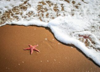 partir en vacances