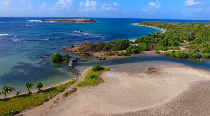 Etang des Salines Martinique