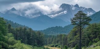 Road trip insolite : partez à la découverte de ces sentiers de randonnée méconnus