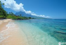 Découvrez les plus belles plages de La Réunion