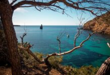 La magie d’un road trip dans le sud-ouest de la France road trip dans le sud-ouest de la France